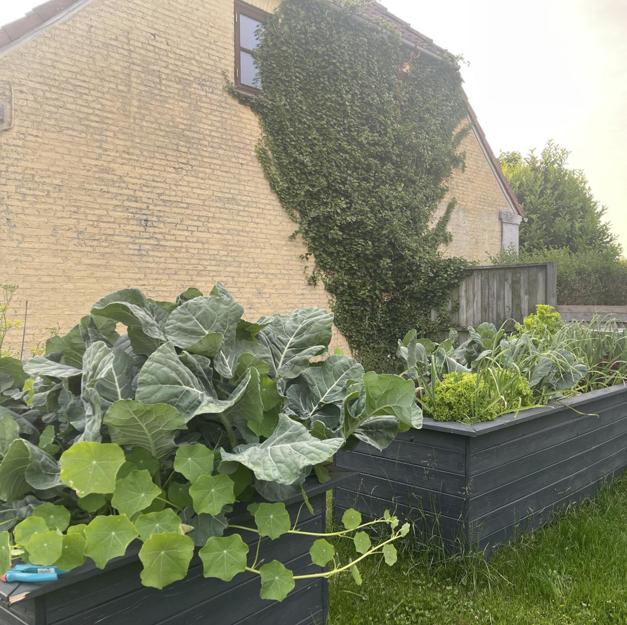 Jygge- Hyggelige Ferienwohnung Nordborg Exterior foto